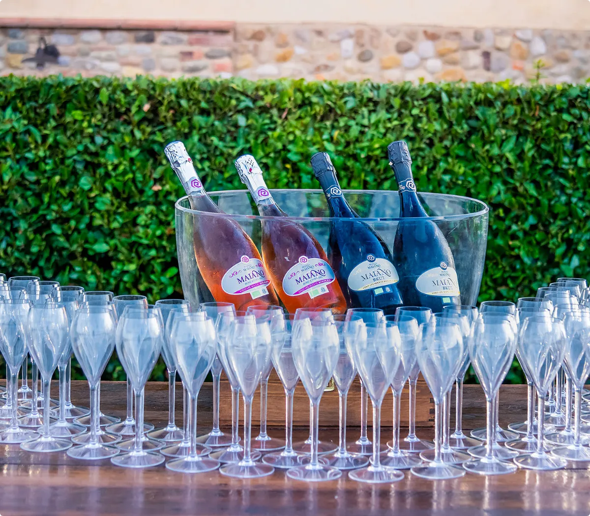 Champagne glasses raised in celebration